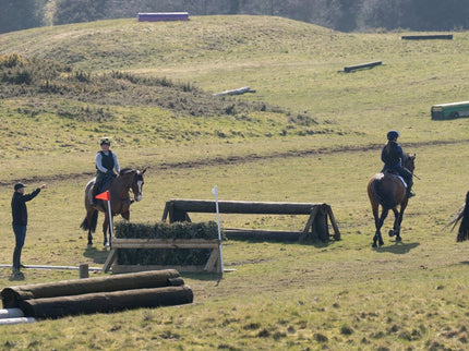 Horses and riders in an equestrian competition on a grassy field with obstacles.