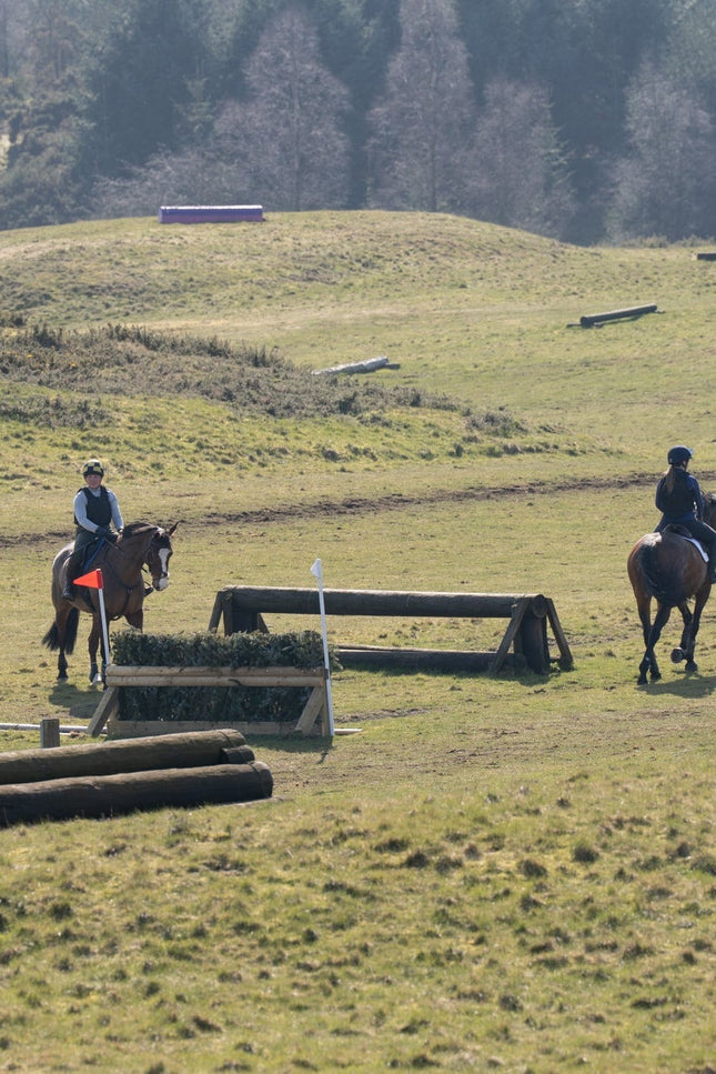 Horses and riders in an equestrian competition on a grassy field with obstacles.
