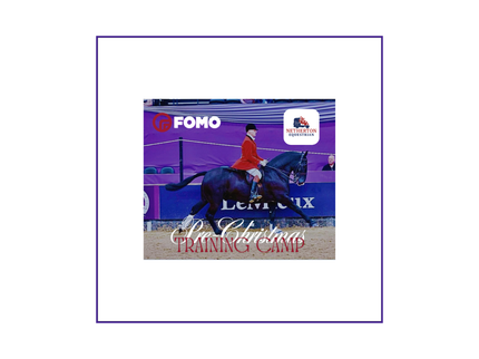 FOMO Pre-Christmas Training Day