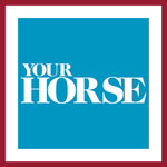 Logo of 'Your Horse' with a blue square and white text on a red background