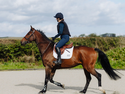 Person riding a brown horse on a paved area with greenery in the background