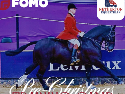 Equestrian event with a rider on a horse in an arena, featuring FOMO and Netherton Equestrian logos.